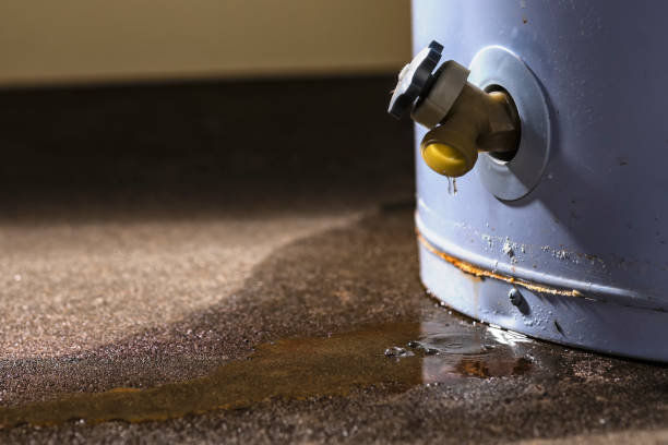 Best Flood restoration services  in Pittsburg, CA