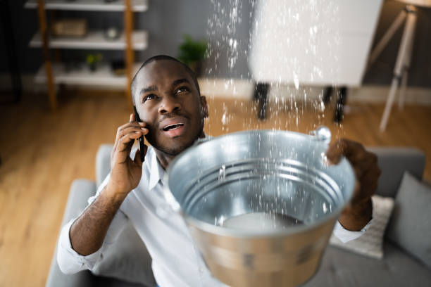 Best Professional water damage repair  in Pittsburg, CA