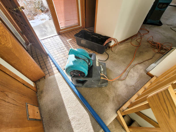 Best 24/7 water damage repair  in Pittsburg, CA