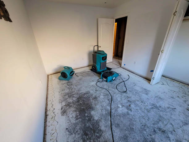 Best Water damage contractors near me  in Pittsburg, CA