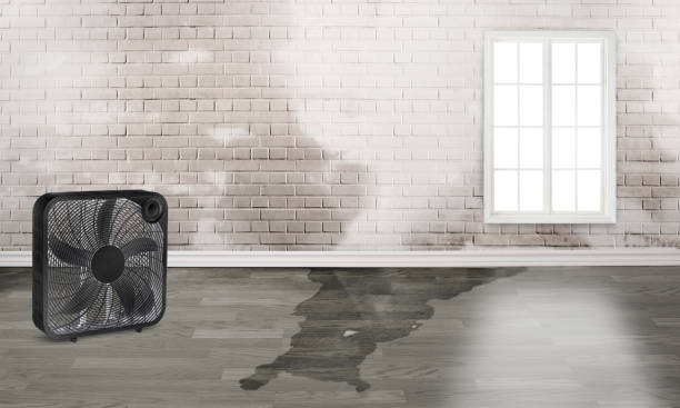 Best 24-hour water damage restoration  in Pittsburg, CA