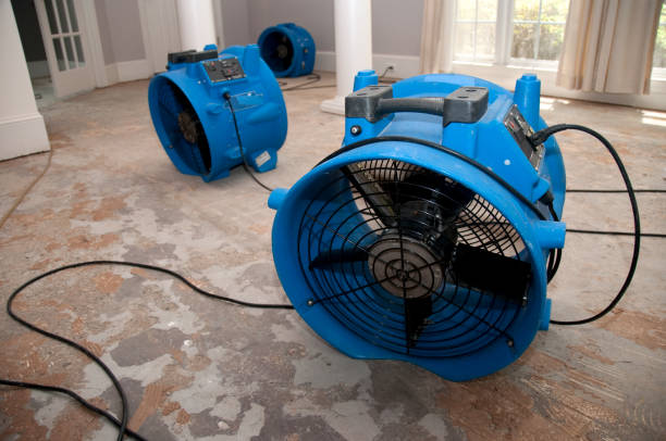 Trusted Pittsburg, CA Water damage restoration Experts