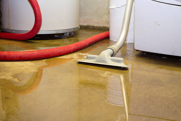  Pittsburg, CA Water damage restoration Pros