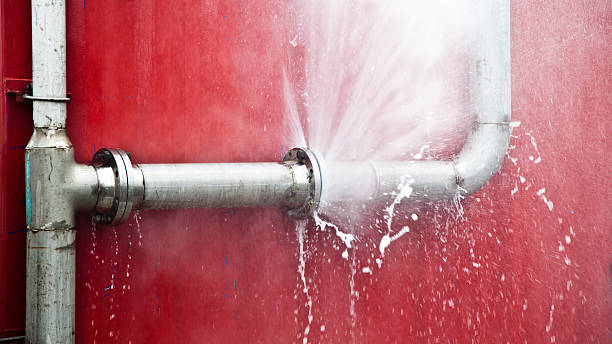 Best Flooded house restoration  in Pittsburg, CA
